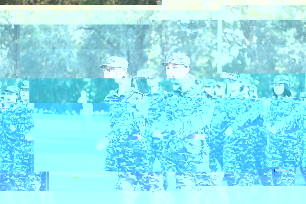 1478162780845445.jpg